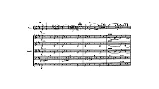 Tchaikovsky Violin Concerto in D major Op 35 with Score [upl. by Deland]