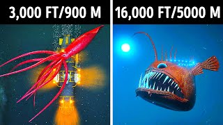 Fascinating 3D Journey to the Ocean Depths [upl. by Notyap]