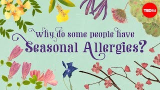 Why do people have seasonal allergies  Eleanor Nelsen [upl. by Fang]