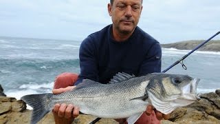 Pêche au bar du bord  5 bars pris au leurre en direct live [upl. by Doreen606]