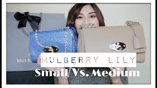 Mulberry Lily Size Comparison Small Vs Medium minimalistStyling [upl. by Tjaden]