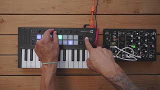 Arpeggiator  Launchkey Mini  Novation [upl. by Adranoel]