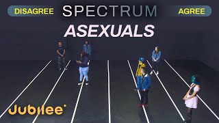 Do All Asexuals Think the Same  Spectrum [upl. by Yelwah]