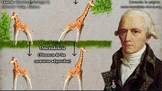 Evolución Ideas preevolucionistas de Anaximandro a Lamarck [upl. by Enaile760]