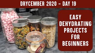 EASY DEHYDRATING PROJECTS FOR BEGINNERS Learn to Dehydrate with Easy Recipes  DRYCEMBER [upl. by Lienad604]