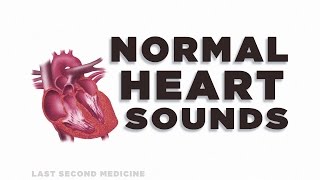 Heart Sounds Series  Normal Heart Sounds [upl. by Norby]