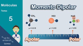 ¿Cómo determinar la POLARIDAD de las moléculas [upl. by Esyle]