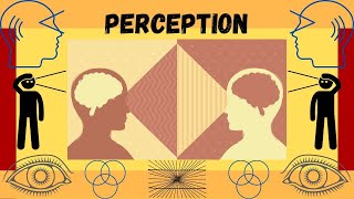 What is Perception Faculties of the Mind [upl. by Oakie]