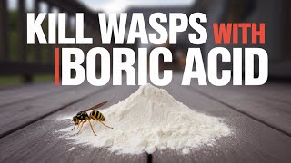 How to Kill Wasps with Boric Acid and Wasp Nest Decoy DIY [upl. by Eerolam]