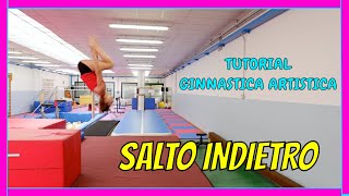 SALTO INDIETRO SALTO MORTALE  Tutorial ginnastica artistica [upl. by Fortna791]