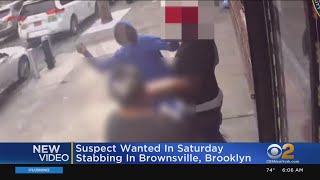 Stabbing Caught On Camera In Brooklyn [upl. by Oirevas]