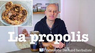 Propolis  mal de gorge bronchite immunité basse cancer [upl. by Treborsemaj]