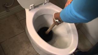 How to Unclog a Toilet  Tips from Mr Rooter Plumbing [upl. by Eiltan]