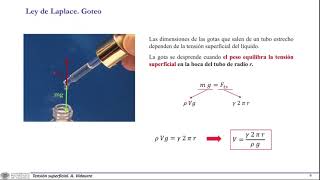 Tensión superficial y capilaridad   UPV [upl. by Norman]
