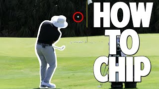 How to Chip in Golf [upl. by Aihsercal]