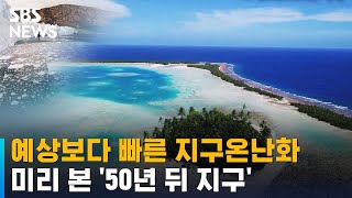 예상보다 빠른 지구온난화…미리 본 50년 뒤 지구  SBS [upl. by Mosier]