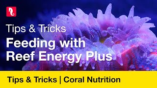 Tips amp Tricks – Feeding with Reef Energy Plus [upl. by Eigroeg]