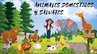 ANIMALES DOMESTICOS 🐶 y SALVAJES 🦒 para NIÑOS [upl. by Kono]