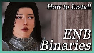 Skyrim  How to Install ENB Binaries Updated 2020 [upl. by Nuhsal]