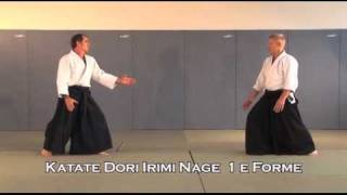 Aikido  Irimi Nage et Kote Gaeshi [upl. by Fong]