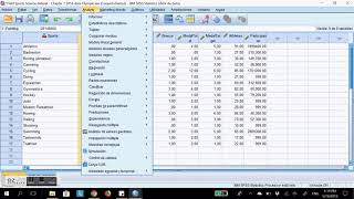 Correlación Pearson y Spearman en SPSS [upl. by Putnam]