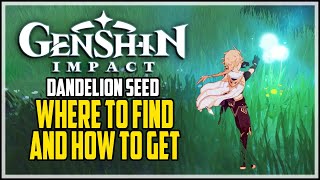 How To Get Dandelion Seed Genshin Impact [upl. by Tnecnivleahcim513]