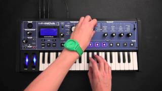 Novation  Dorian Concept x MiniNova [upl. by Ainotal]