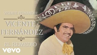 Vicente Fernández  El Remedio Cover Audio [upl. by Irovi]