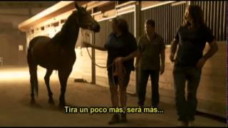 El Domador De Caballos · Jack Forest Holy y Mr Mum [upl. by Rothstein114]