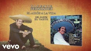 Vicente Fernández  El Adiós a la Vida Cover Audio [upl. by Hausmann427]