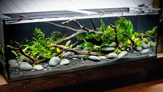 DIY STREAM Style Aquascape Low Tech [upl. by Ecnar]