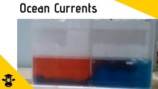 How changes in temperature create ocean currents  Ocean Stratification Demonstration [upl. by Hildagarde]