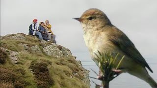 A la découverte des oiseaux migrateurs [upl. by Uhthna450]