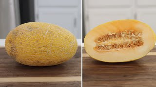 How to Eat Hami Melon  Taste Test [upl. by Tletski]