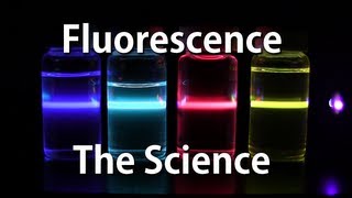 How Fluorescence Works  The Science [upl. by Yerfoeg]