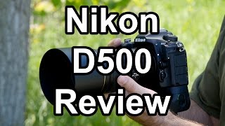 Nikon D500 Review A Wildlife Photographers Perspective [upl. by Gabriello]