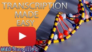 Transcription Made Easy From DNA to RNA 2019 [upl. by Idner]