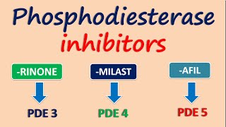 Phosphodiesterase inhibitors [upl. by Grania]