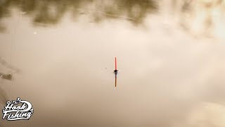 Pole Fishing for CARP  OnTheHook Fishing [upl. by Roxy34]