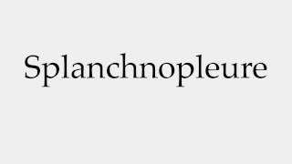 How to Pronounce Splanchnopleure [upl. by Eimar456]