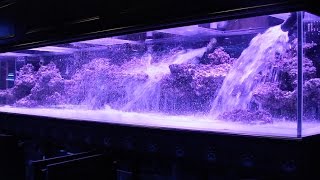 800 Aquarium pt2 Aquascape  Floating Shelf [upl. by Aleta134]