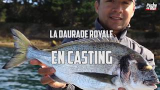 Pêche de la daurade royale en casting Golfe du Morbihan [upl. by Arriec]