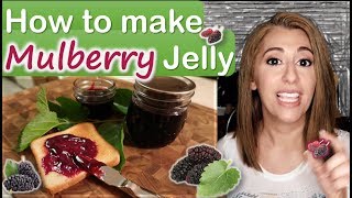 How to make MULBERRY JELLY 😍 easy  How to pick mulberries [upl. by Lenore189]