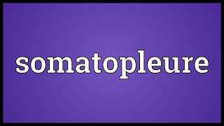 Somatopleure Meaning [upl. by Kawasaki]