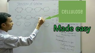 Polysaccharides structure  Cellulose [upl. by Elak]