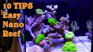 Top 10 TIPS for an EASY amp Successful Nano Reef Tank [upl. by Einaej]