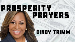 Prosperity Prayer With Dr Cindy Trimm [upl. by Nihs]