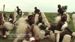 Celebrating Zulu Heritage Through Tribal Dance [upl. by Nerradal]