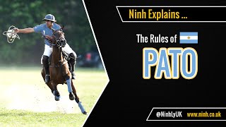 The Rules of Pato Horseball  EXPLAINED [upl. by Annette97]