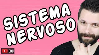 SISTEMA NERVOSO  FISIOLOGIA  Aula  Biologia com Samuel Cunha [upl. by Seagraves]